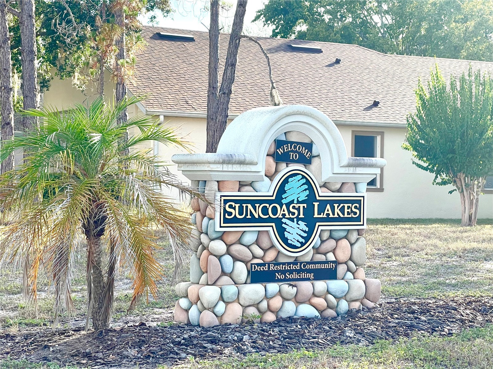 10839 Wild Cotton Court Land O Lakes FL 34638 TB8522519 image50