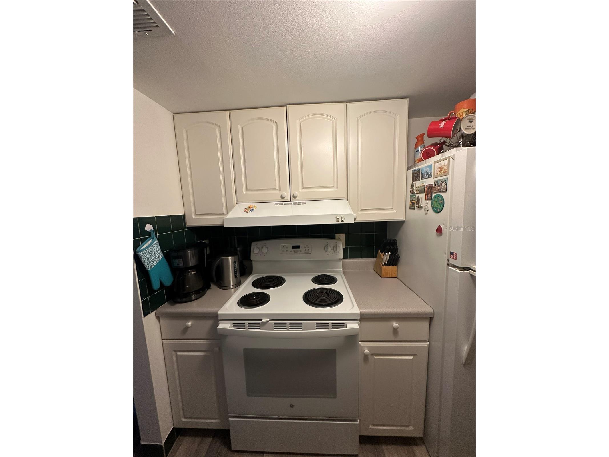 1084 82nd Terrace N #1084E Saint Petersburg FL 33702 TB8498205 image11