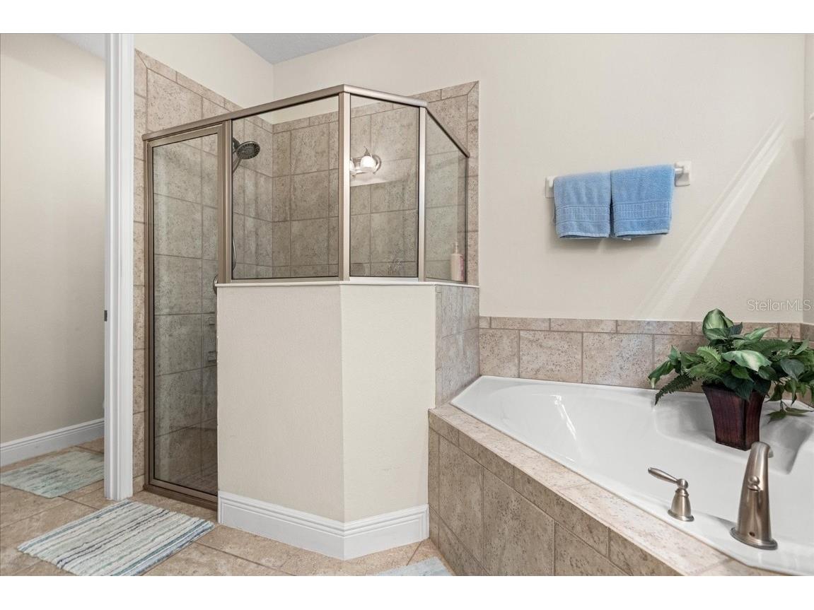 1084 Castle Pines Court Reunion FL 34747 O6312203 image16