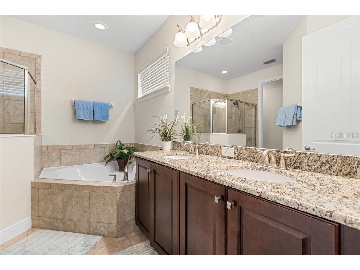 1084 Castle Pines Court Reunion FL 34747 O6312203 image17