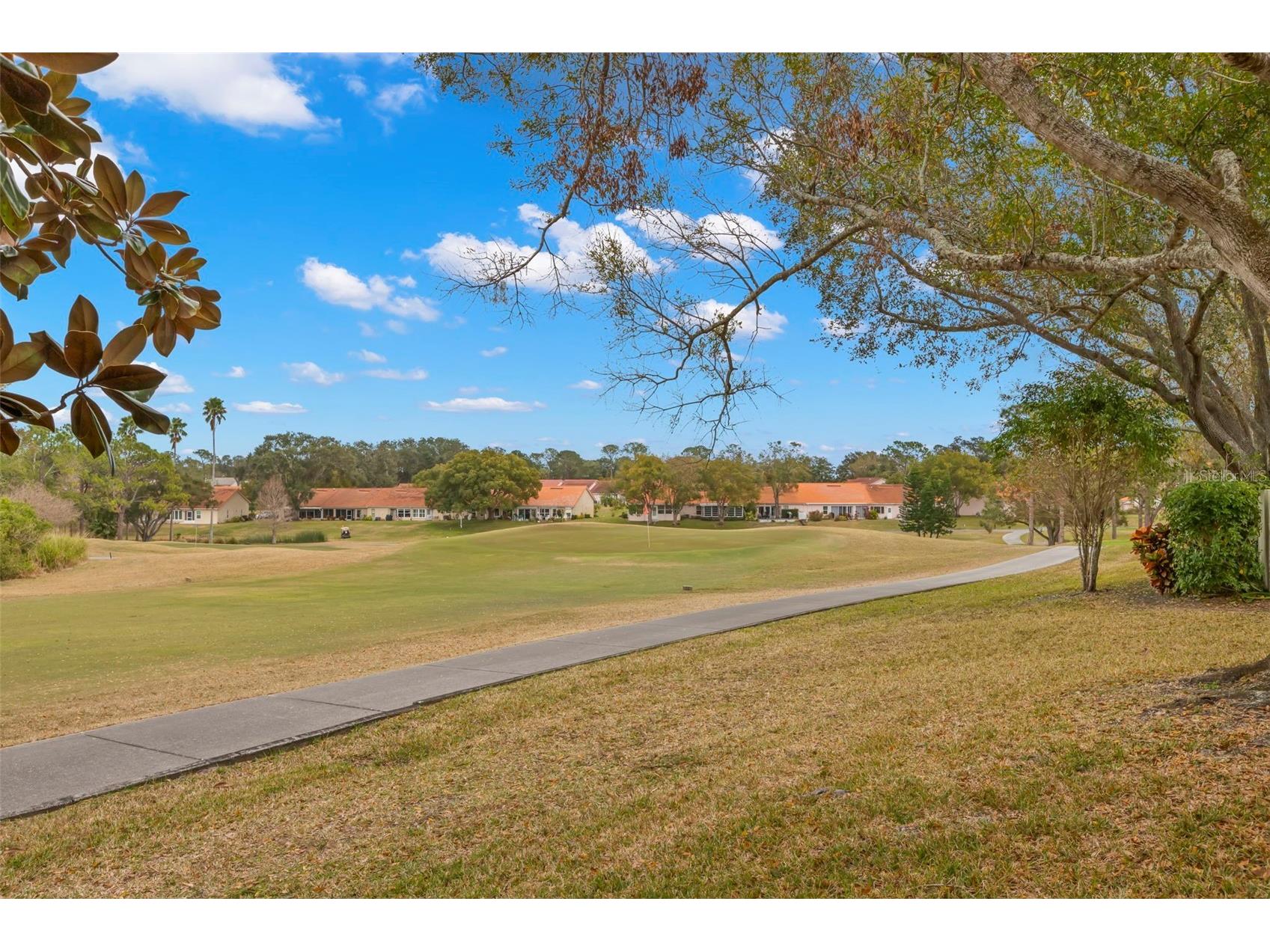 1084 Dunrobin Drive #D Palm Harbor FL 34684 TB8466777 image16