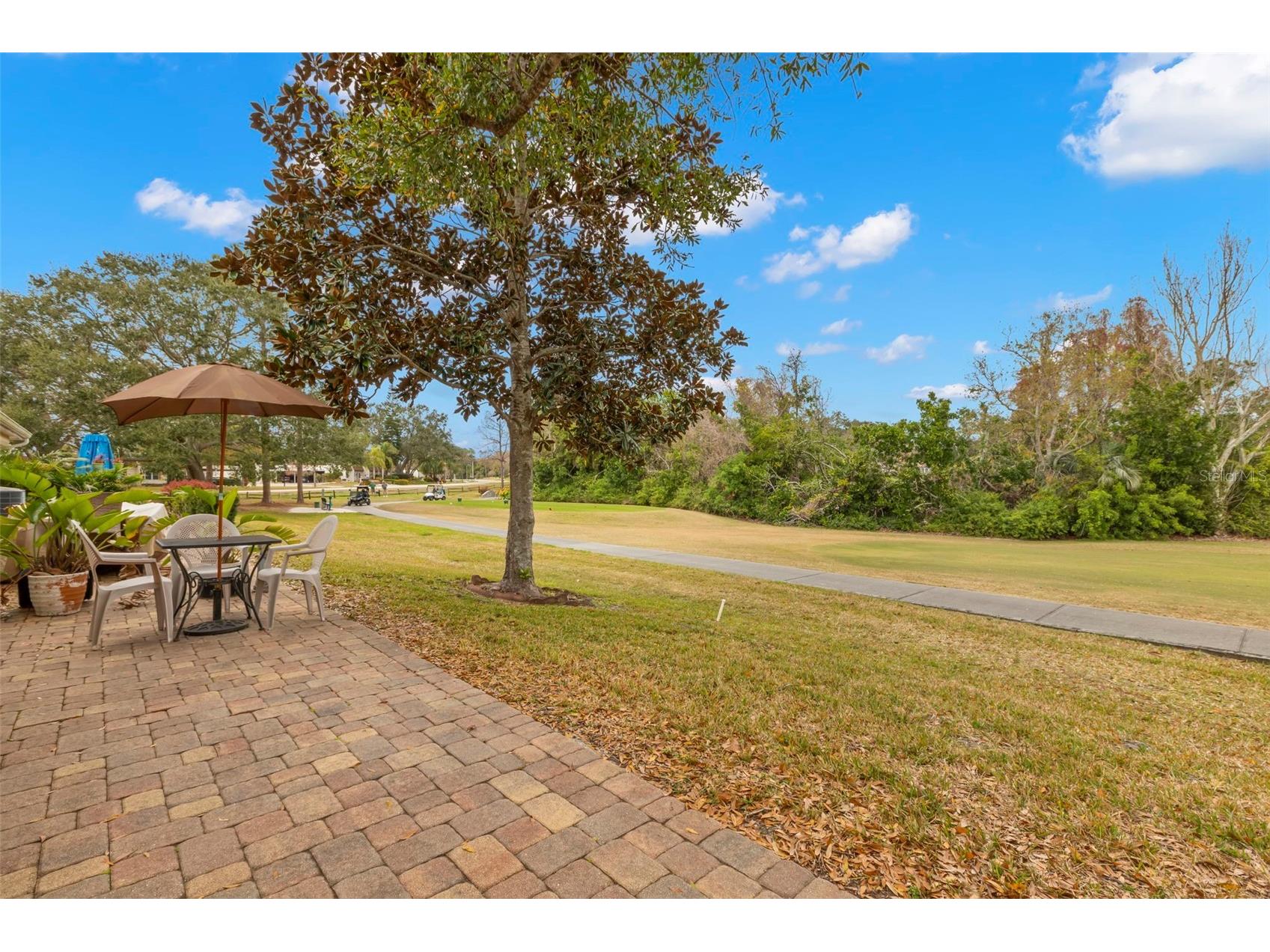 1084 Dunrobin Drive #D Palm Harbor FL 34684 TB8466777 image19