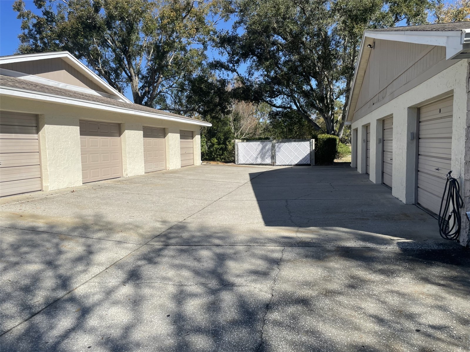 1084 Dunrobin Drive #D Palm Harbor FL 34684 TB8466777 image2