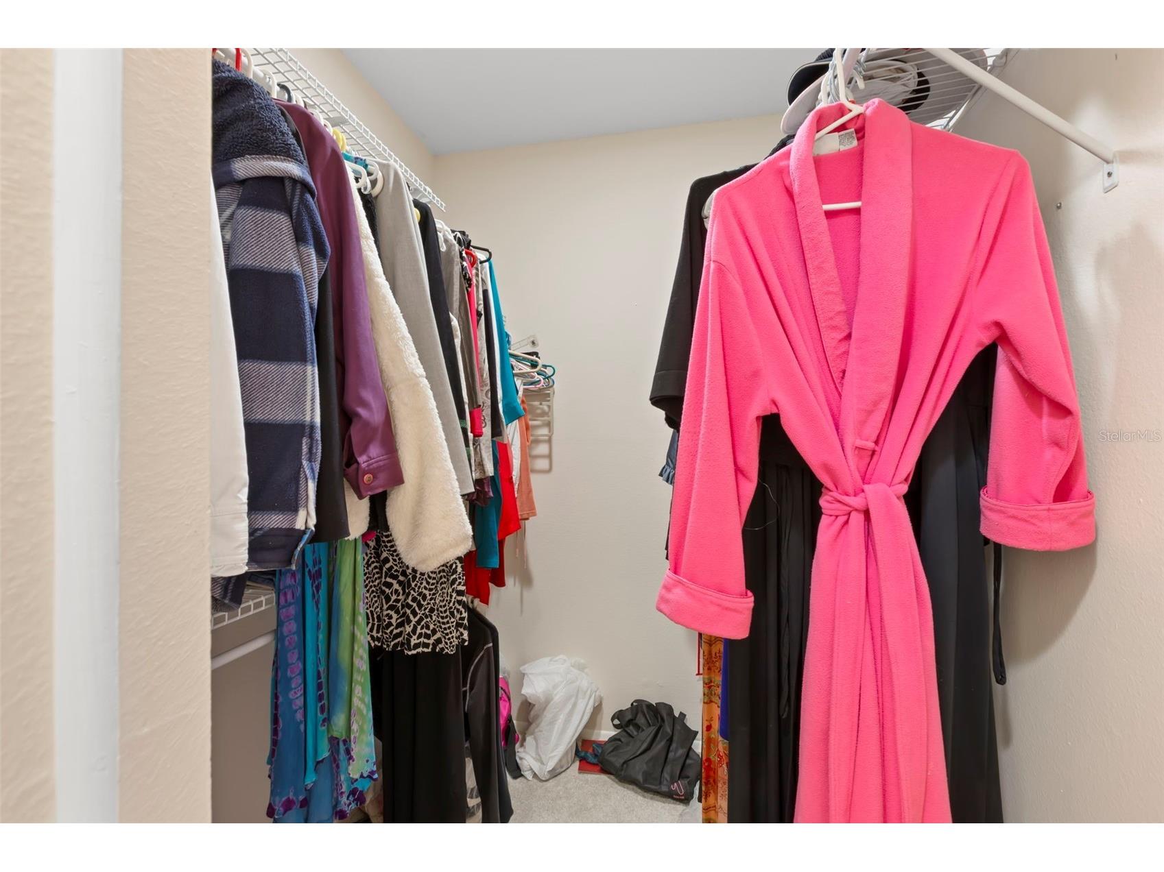 1084 Dunrobin Drive #D Palm Harbor FL 34684 TB8466777 image25