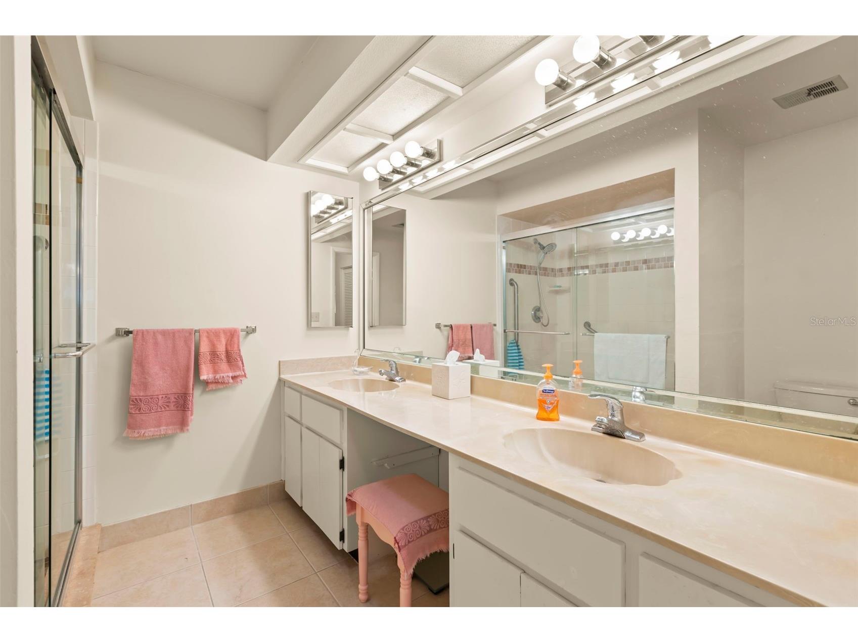 1084 Dunrobin Drive #D Palm Harbor FL 34684 TB8466777 image26