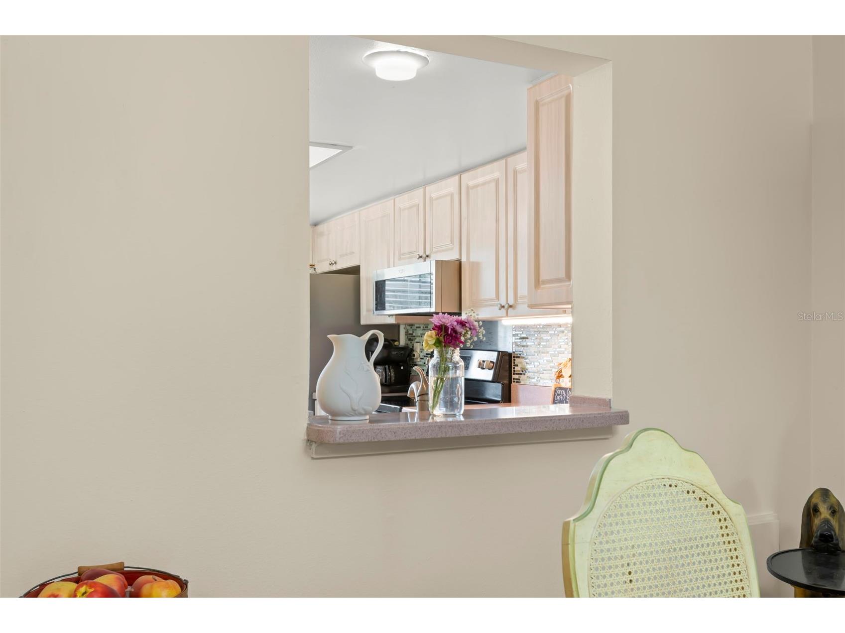 1084 Dunrobin Drive #D Palm Harbor FL 34684 TB8466777 image6