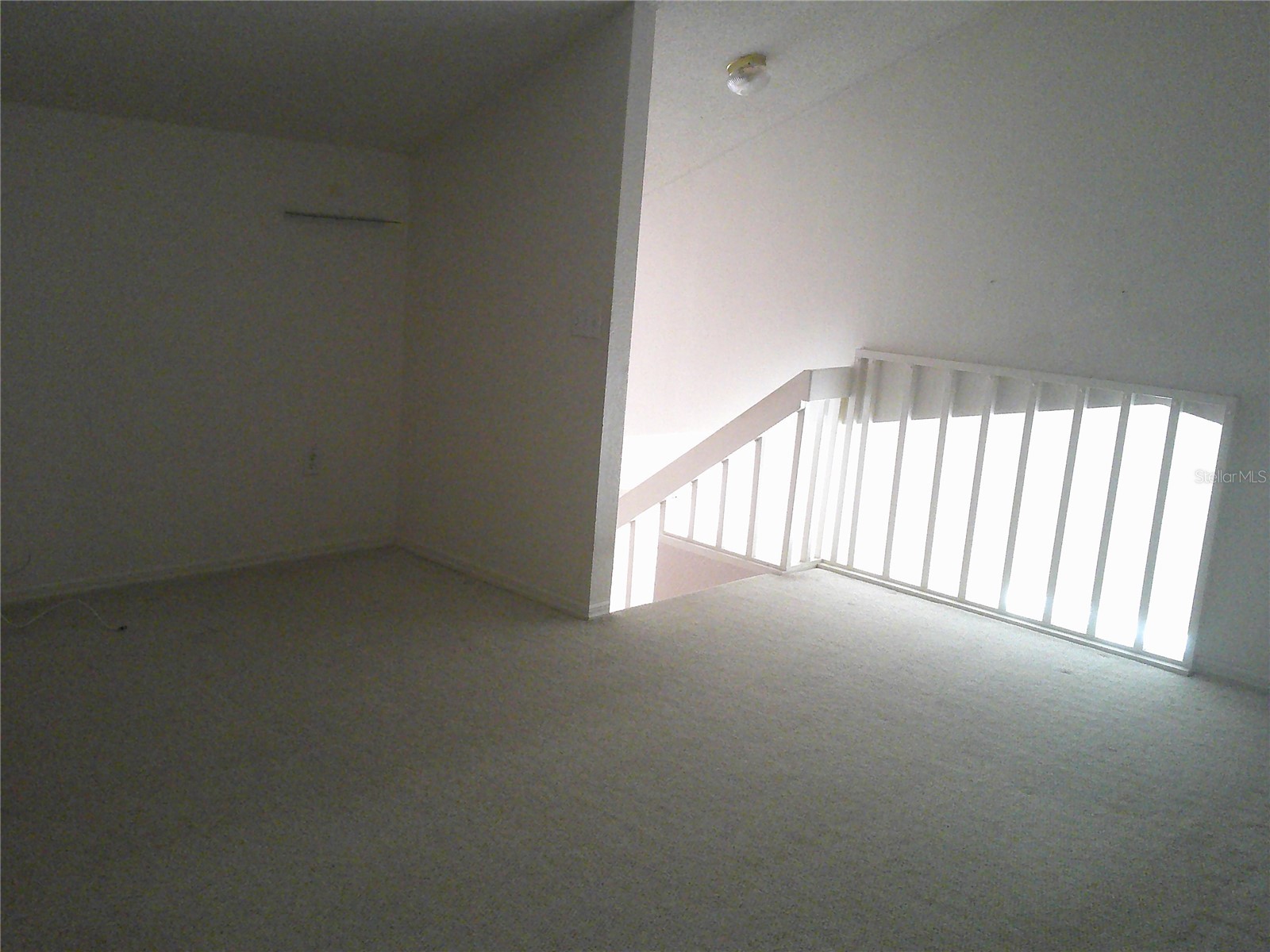 1084 Meadowood Pointe Road Lakeland FL 33811 P4937769 image13