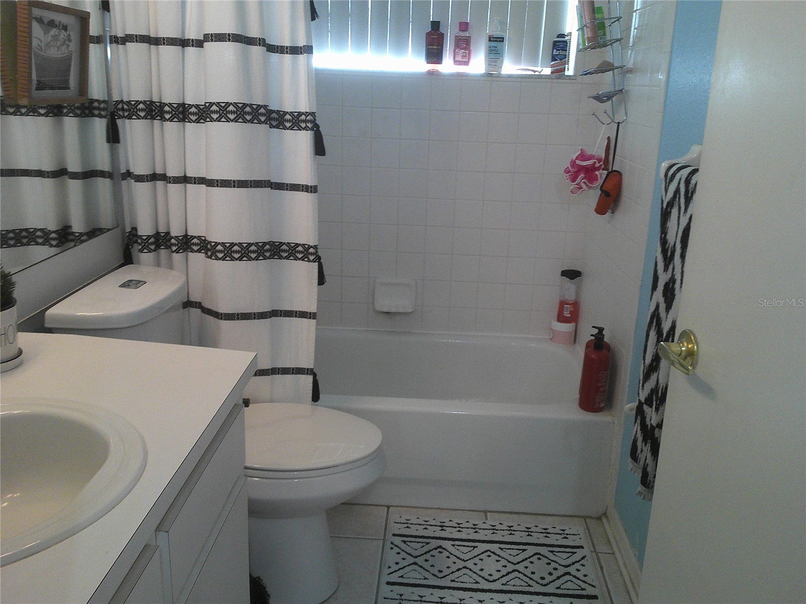 1084 Meadowood Pointe Road Lakeland FL 33811 P4937769 image5