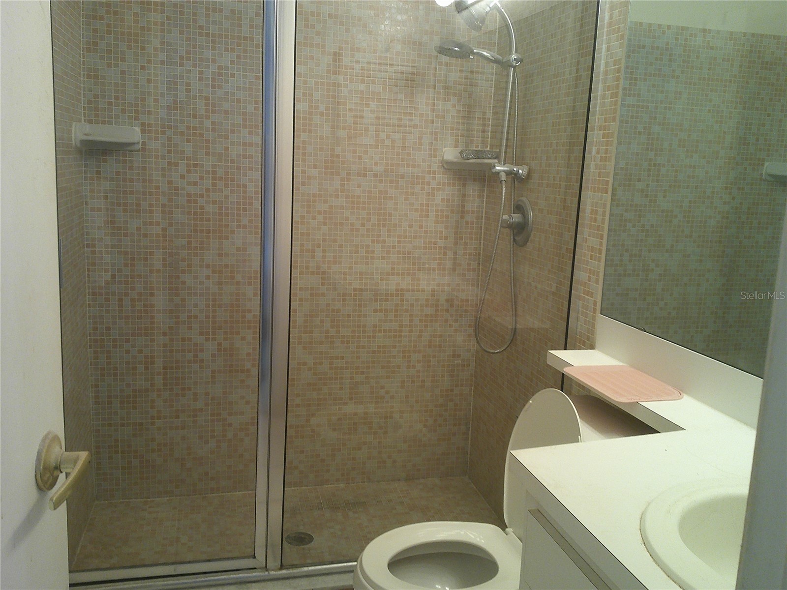 1084 Meadowood Pointe Road Lakeland FL 33811 P4937769 image9