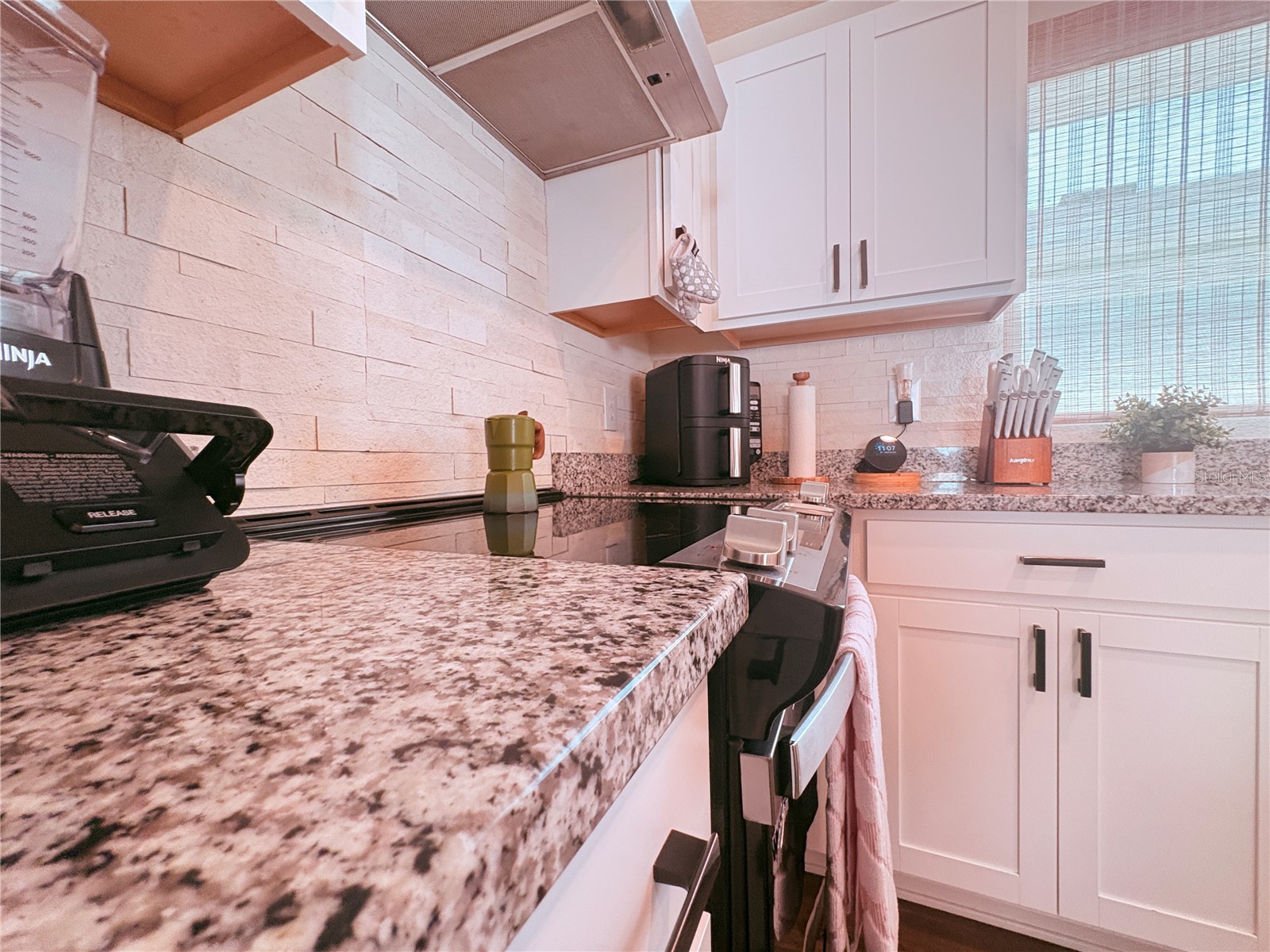 1084 Papaya Circle Davenport FL 33897 S5149265 image18