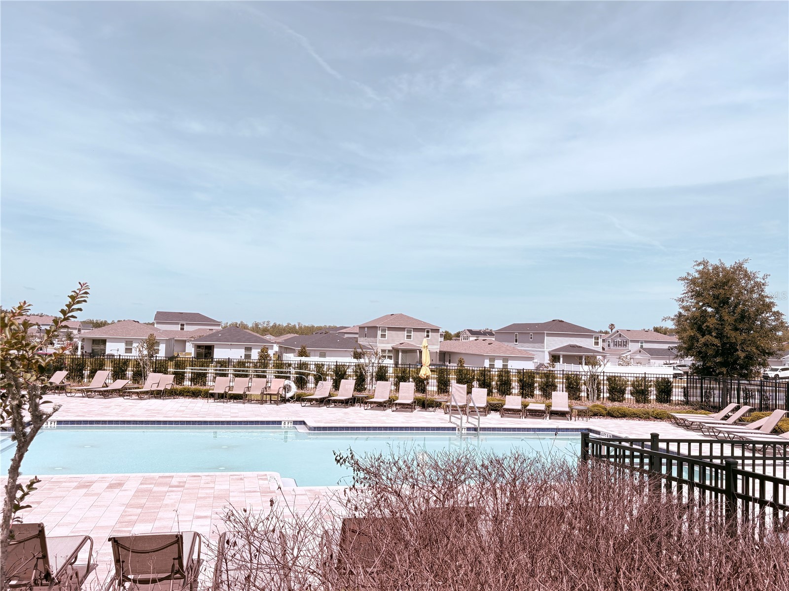 1084 Papaya Circle Davenport FL 33897 S5149265 image36