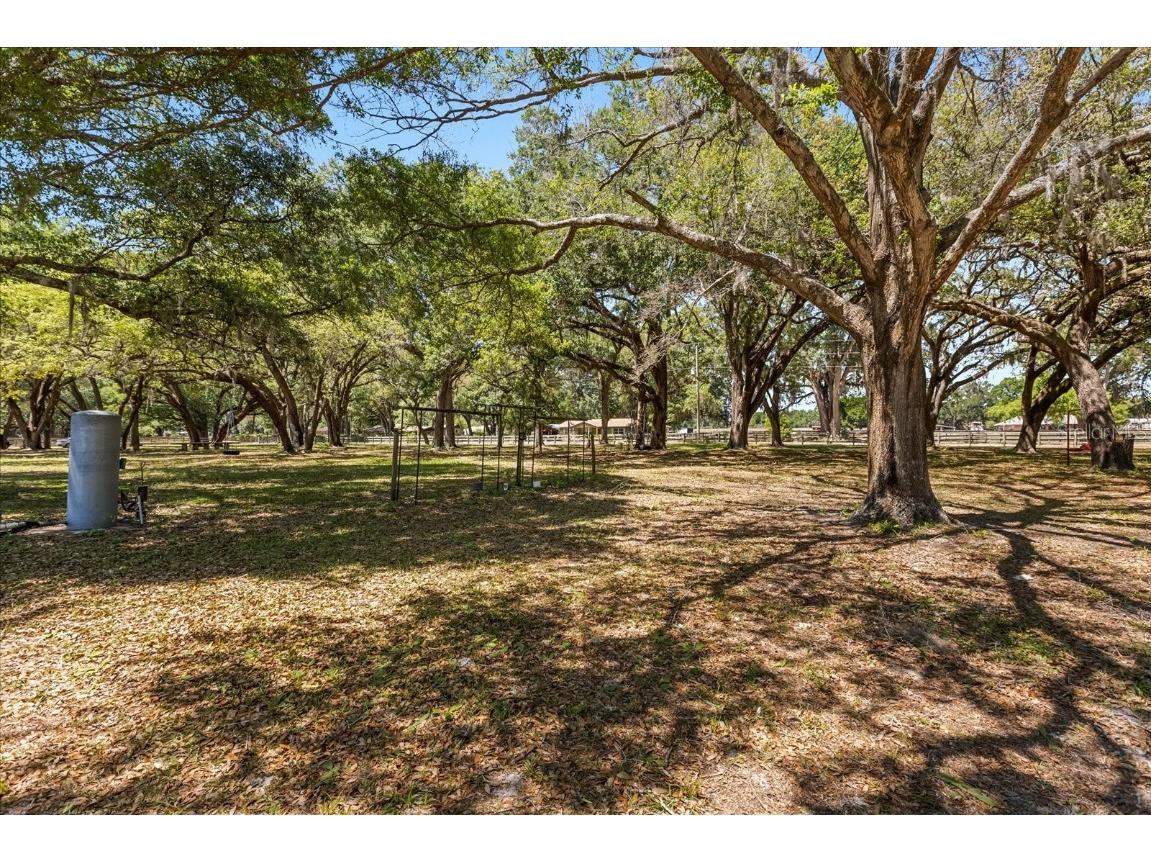 1084 SE 170th Street Summerfield FL 34491 S5135175 image8