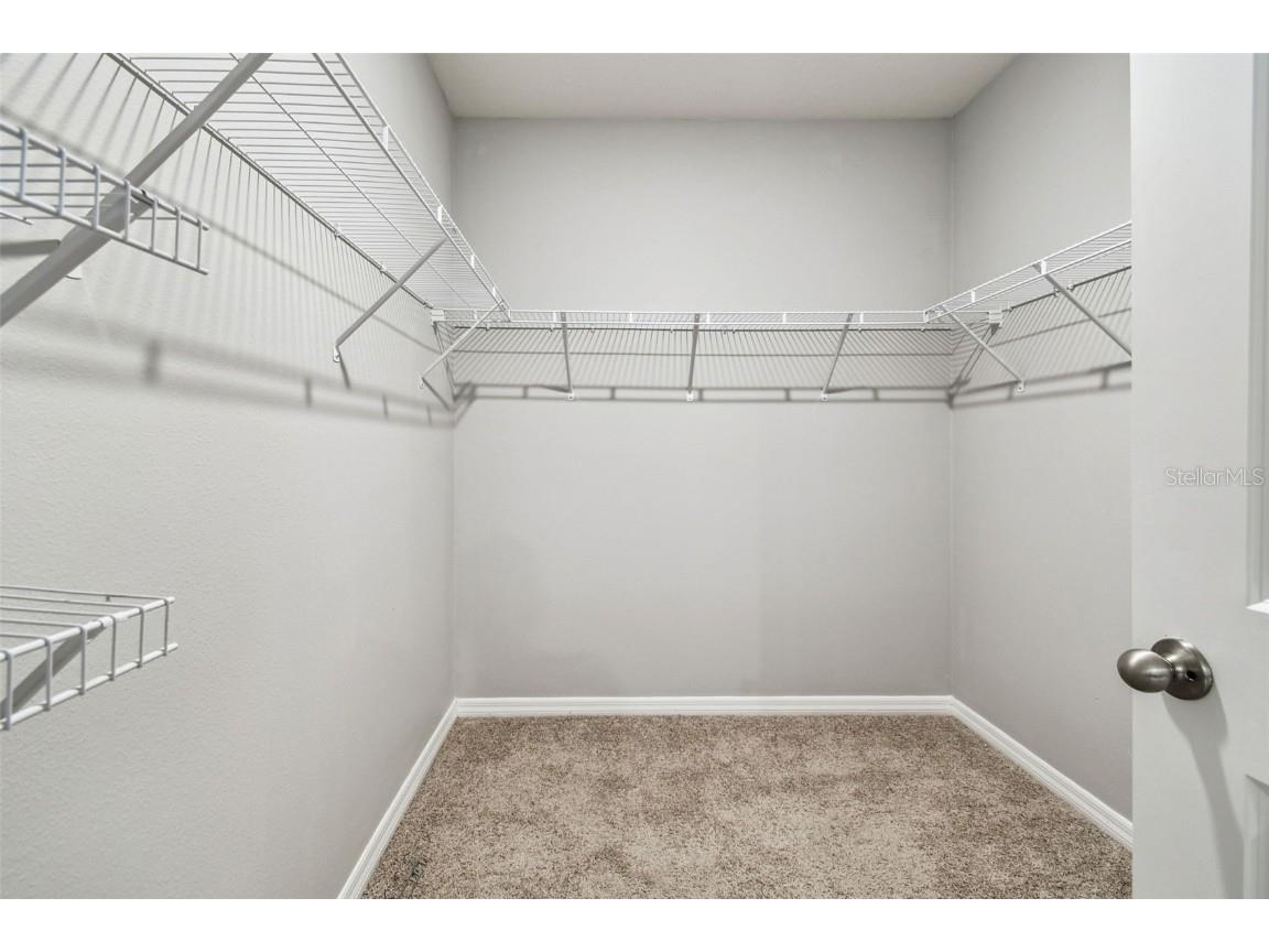 10840 Tally Fawn Loop San Antonio FL 33576 TB8444024 image34