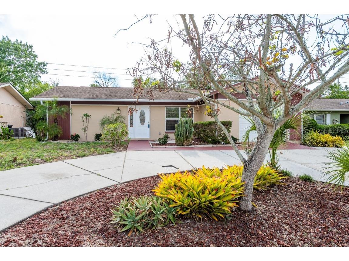 10841 Casa Grande Avenue Port Richey FL 34668 TB8389173 image1