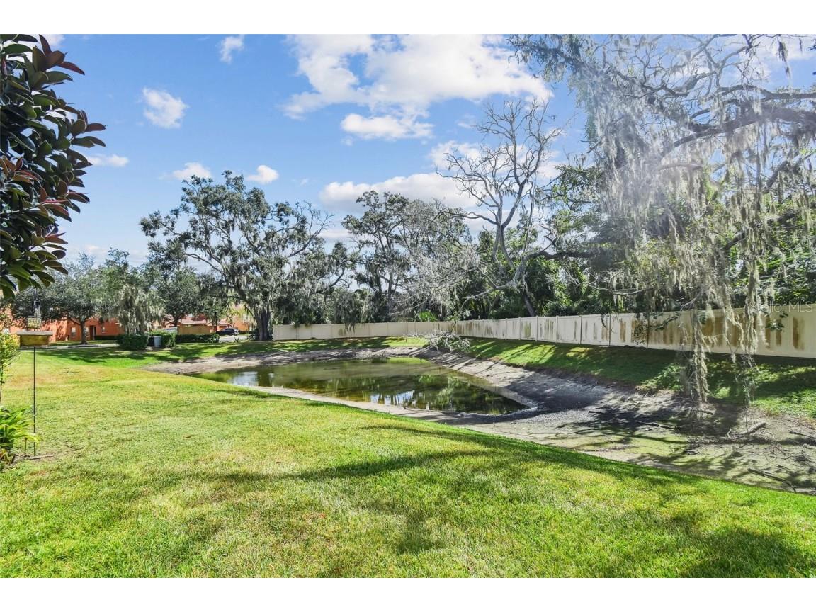 10841 Lake Saint Charles Boulevard Riverview FL 33578 TB8439725 image38