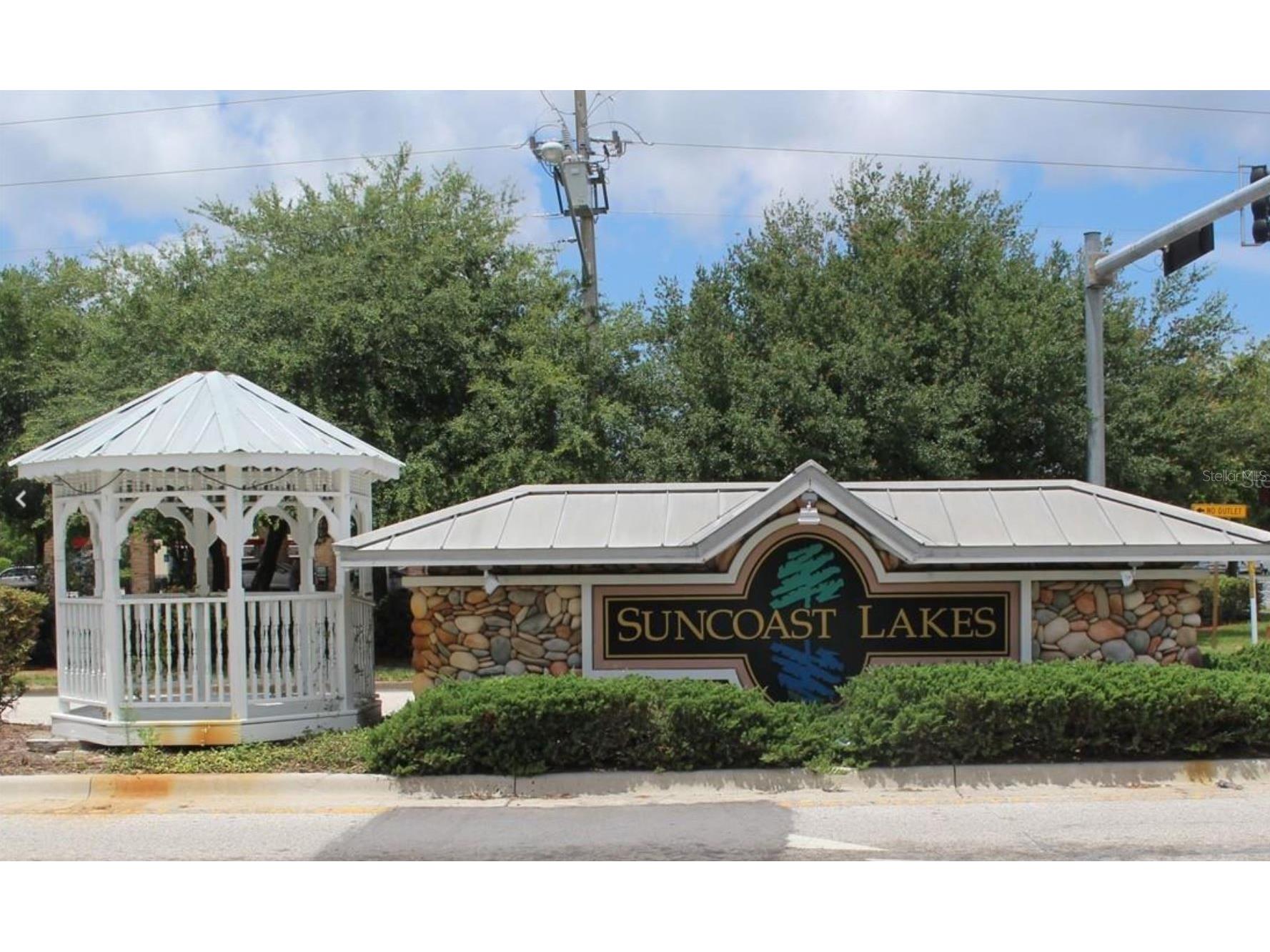 10842 Wild Cotton Court Land O Lakes FL 34638 TB8512130 image46