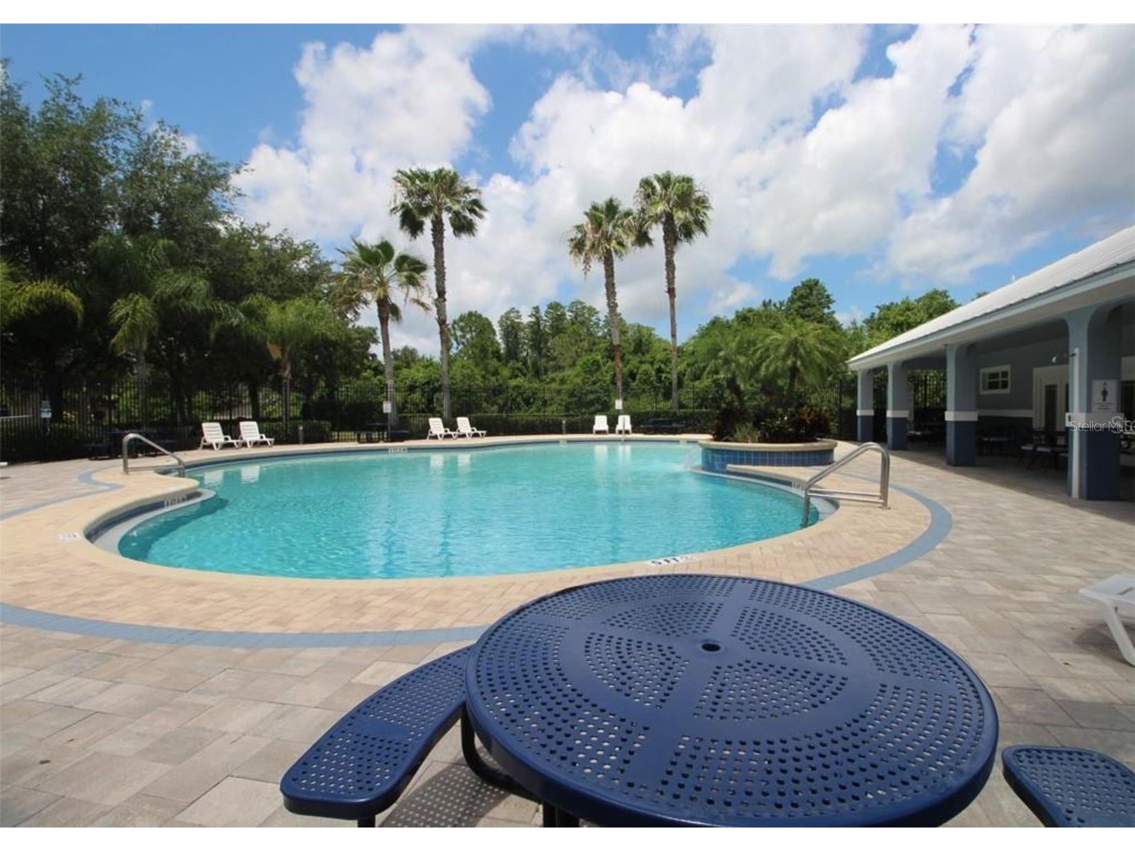 10842 Wild Cotton Court Land O Lakes FL 34638 TB8512130 image52