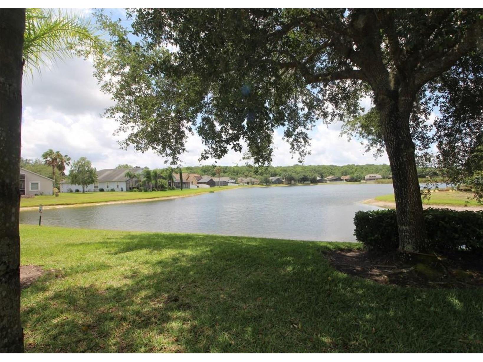 10842 Wild Cotton Court Land O Lakes FL 34638 TB8517929 image58