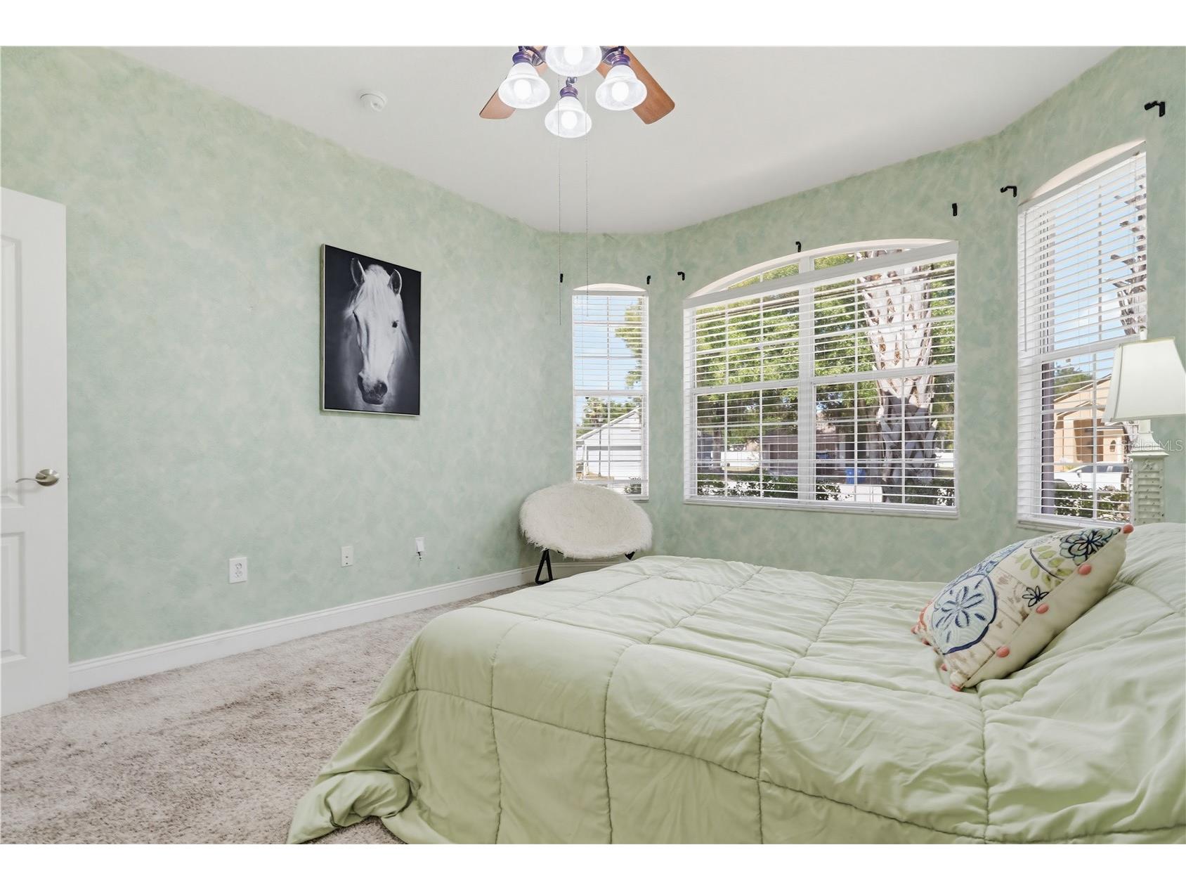10842 Wild Cotton Court Land O Lakes FL 34638 TB8517929 image7