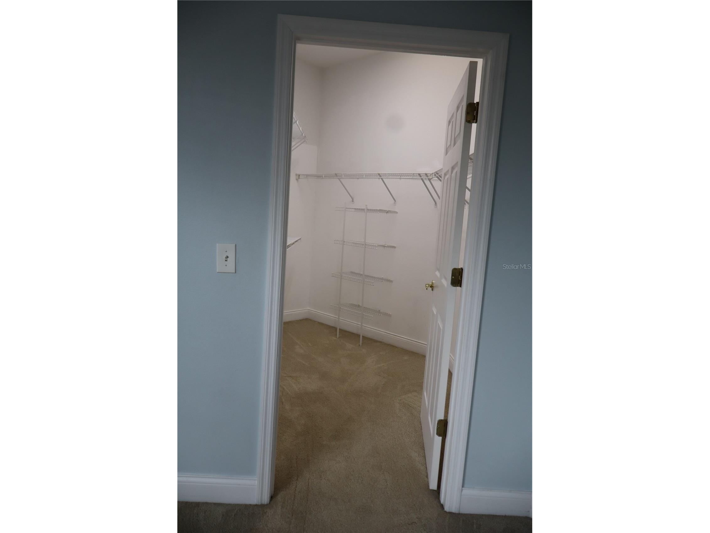 10842 Woodchase Circle Orlando FL 32836 S5149775 image4