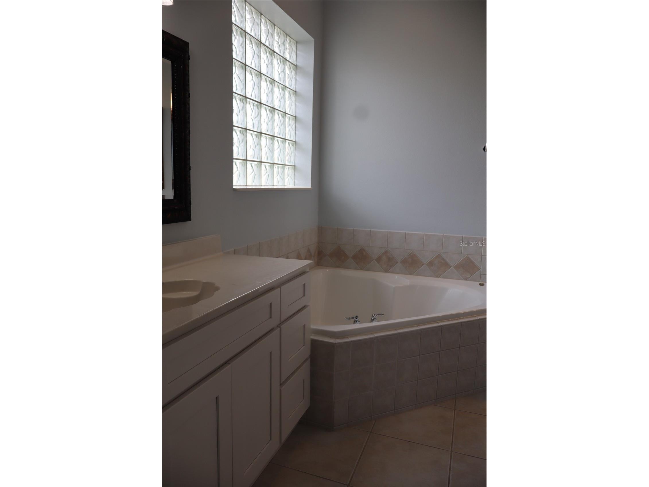 10842 Woodchase Circle Orlando FL 32836 S5149775 image5