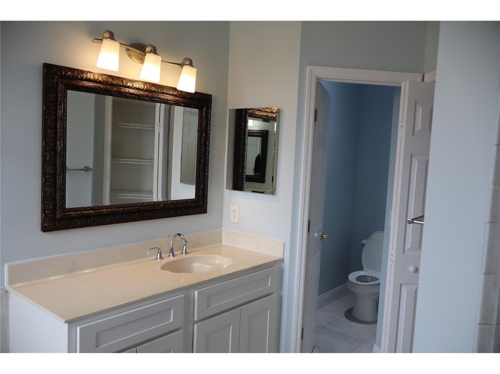 10842 Woodchase Circle Orlando FL 32836 S5149775 image6