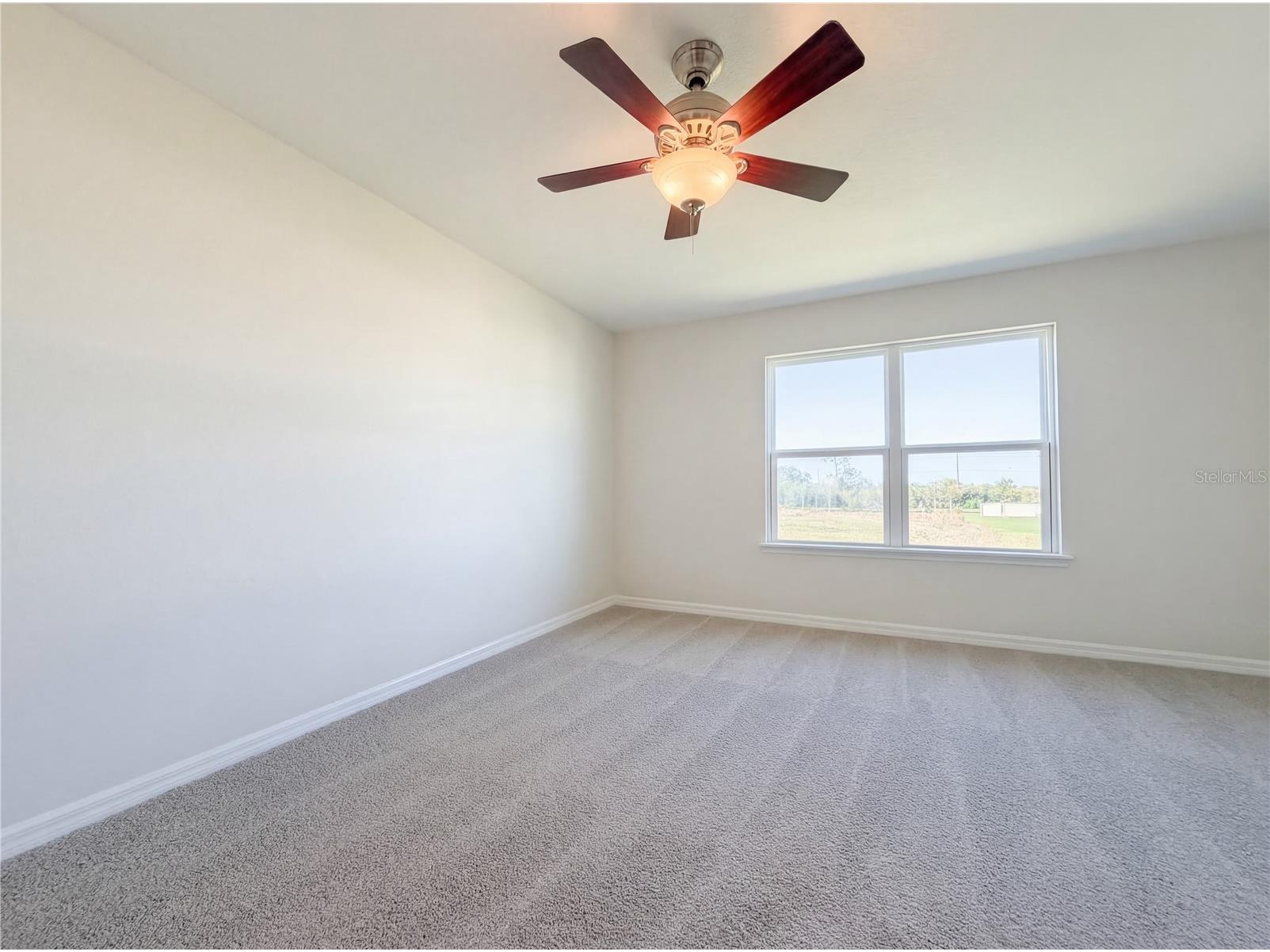 10844 Verawood Drive Riverview FL 33579 O6392127 image18