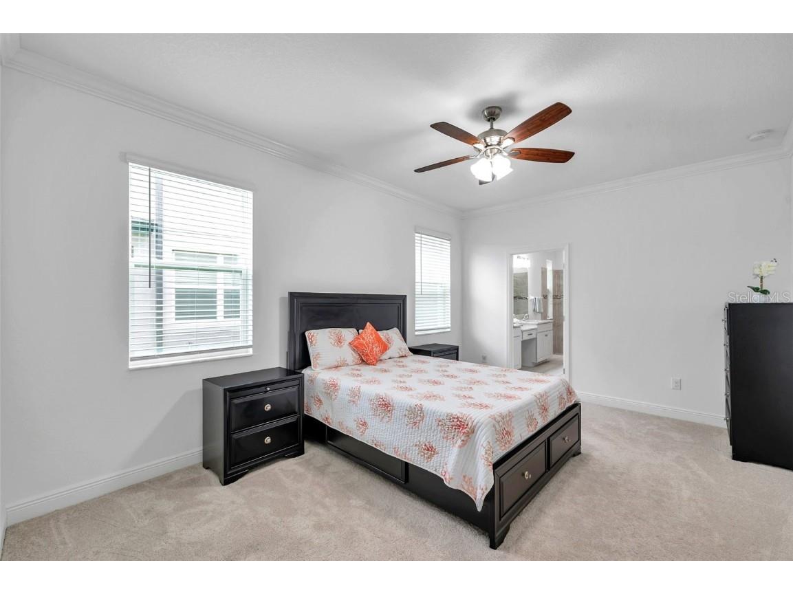 10845 Sundrift Drive Tampa FL 33647 TB8404014 image18