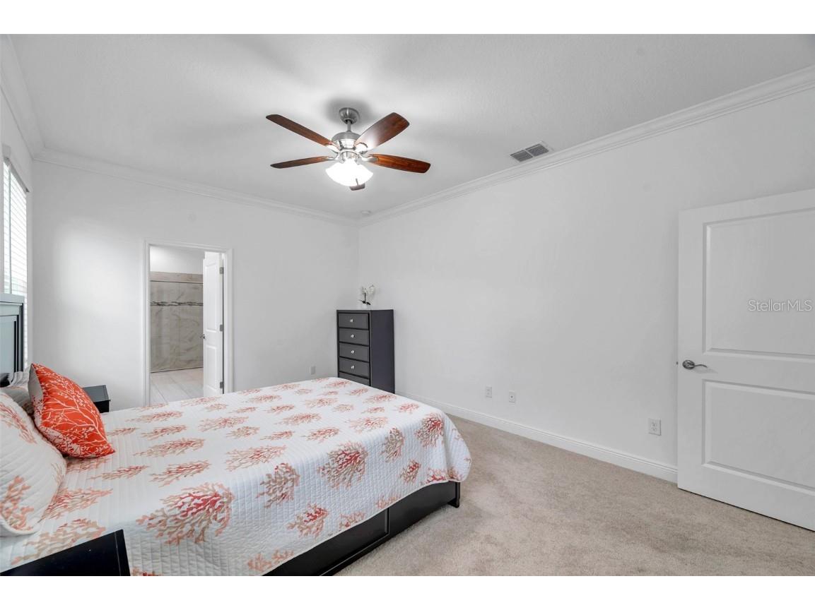 10845 Sundrift Drive Tampa FL 33647 TB8404014 image19