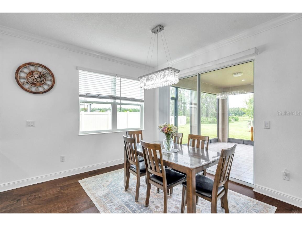 10845 Sundrift Drive Tampa FL 33647 TB8404014 image28