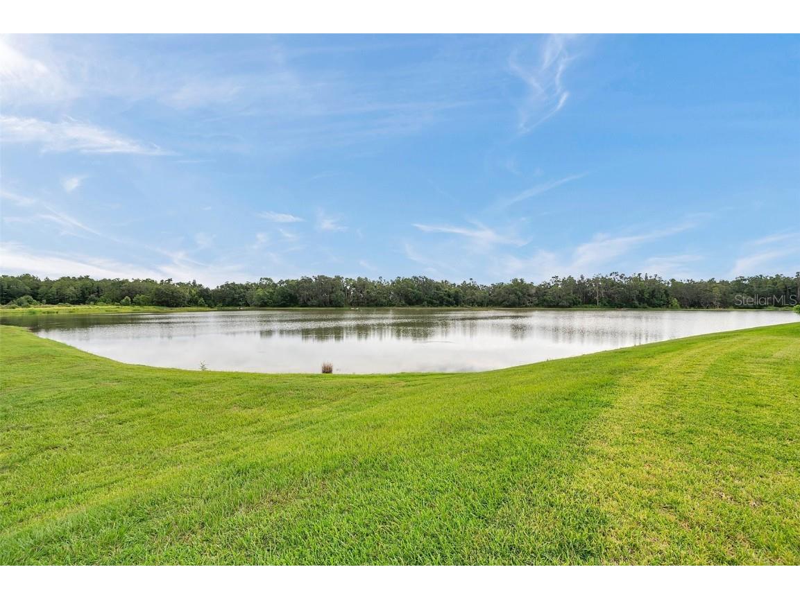 10845 Sundrift Drive Tampa FL 33647 TB8404014 image48