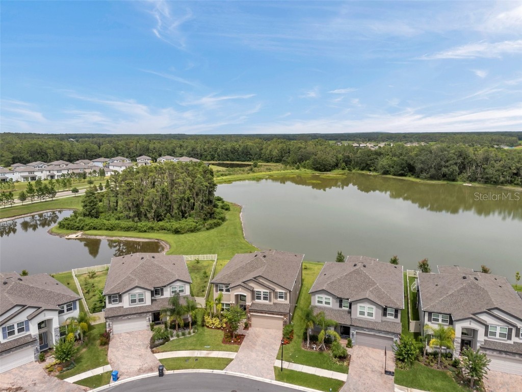 10845 Sundrift Drive Tampa FL 33647 TB8404014 image9