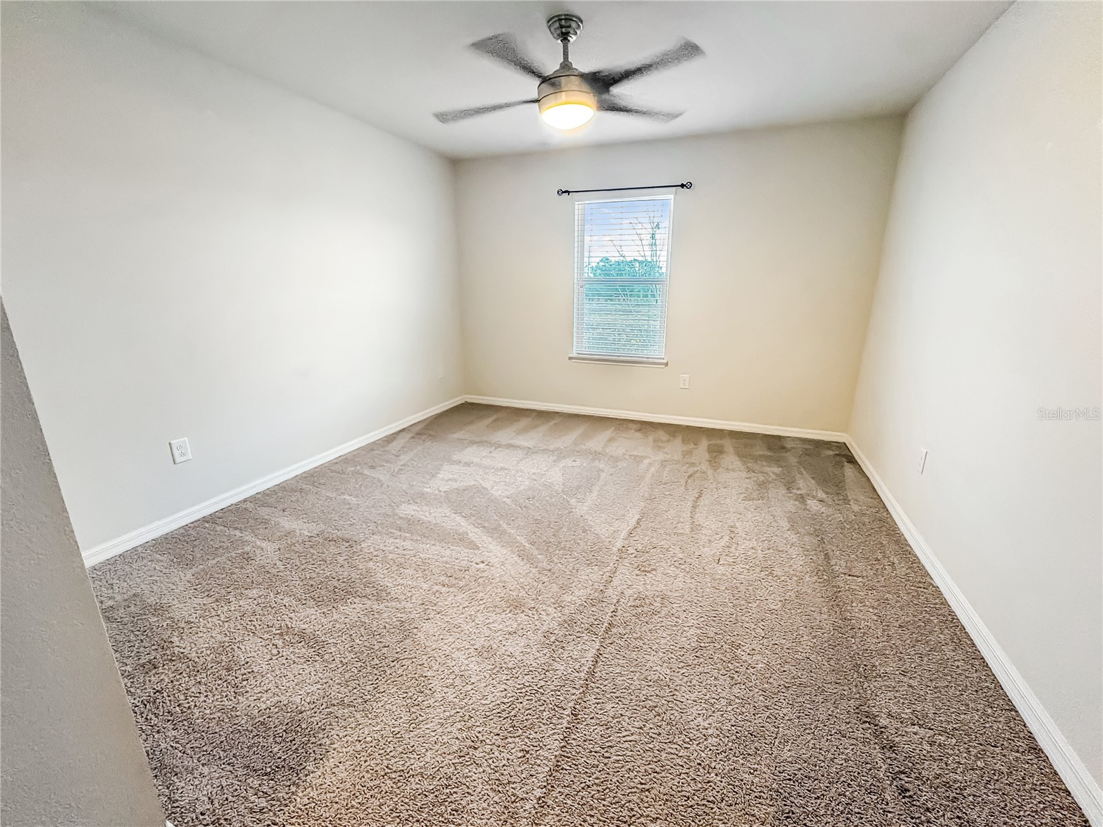 10846 Verawood Drive Riverview FL 33579 TB8466141 image19