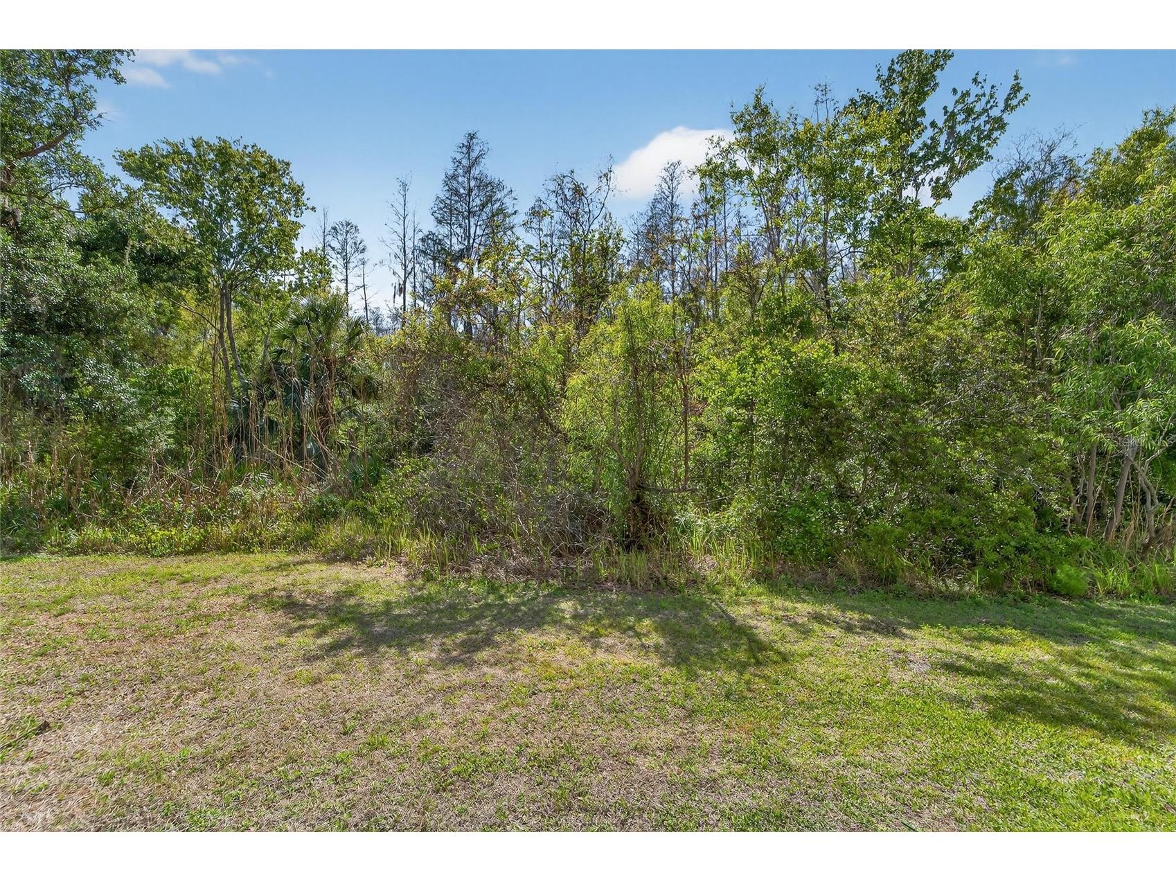10849 Dragonwood Drive Tampa FL 33647 TB8489226 image13