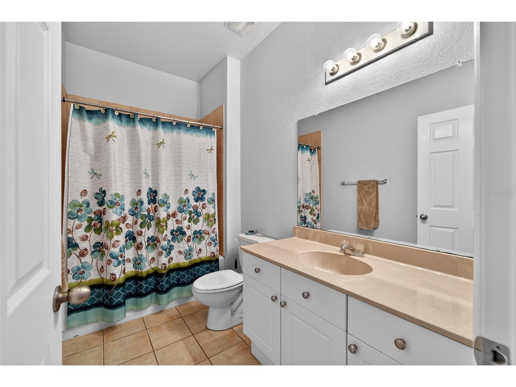 10849 Dragonwood Drive Tampa FL 33647 TB8489226 image46