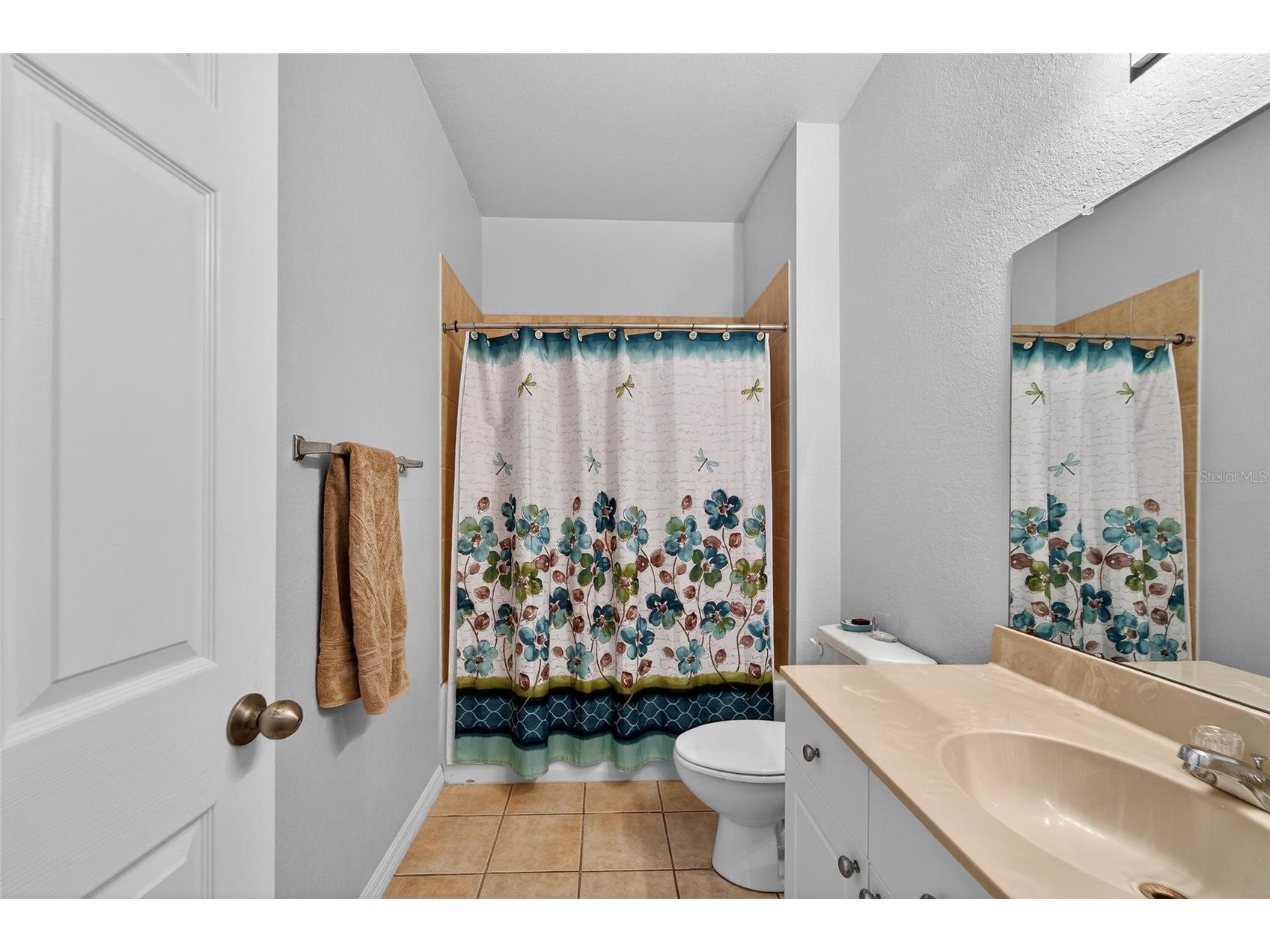 10849 Dragonwood Drive Tampa FL 33647 TB8489226 image47