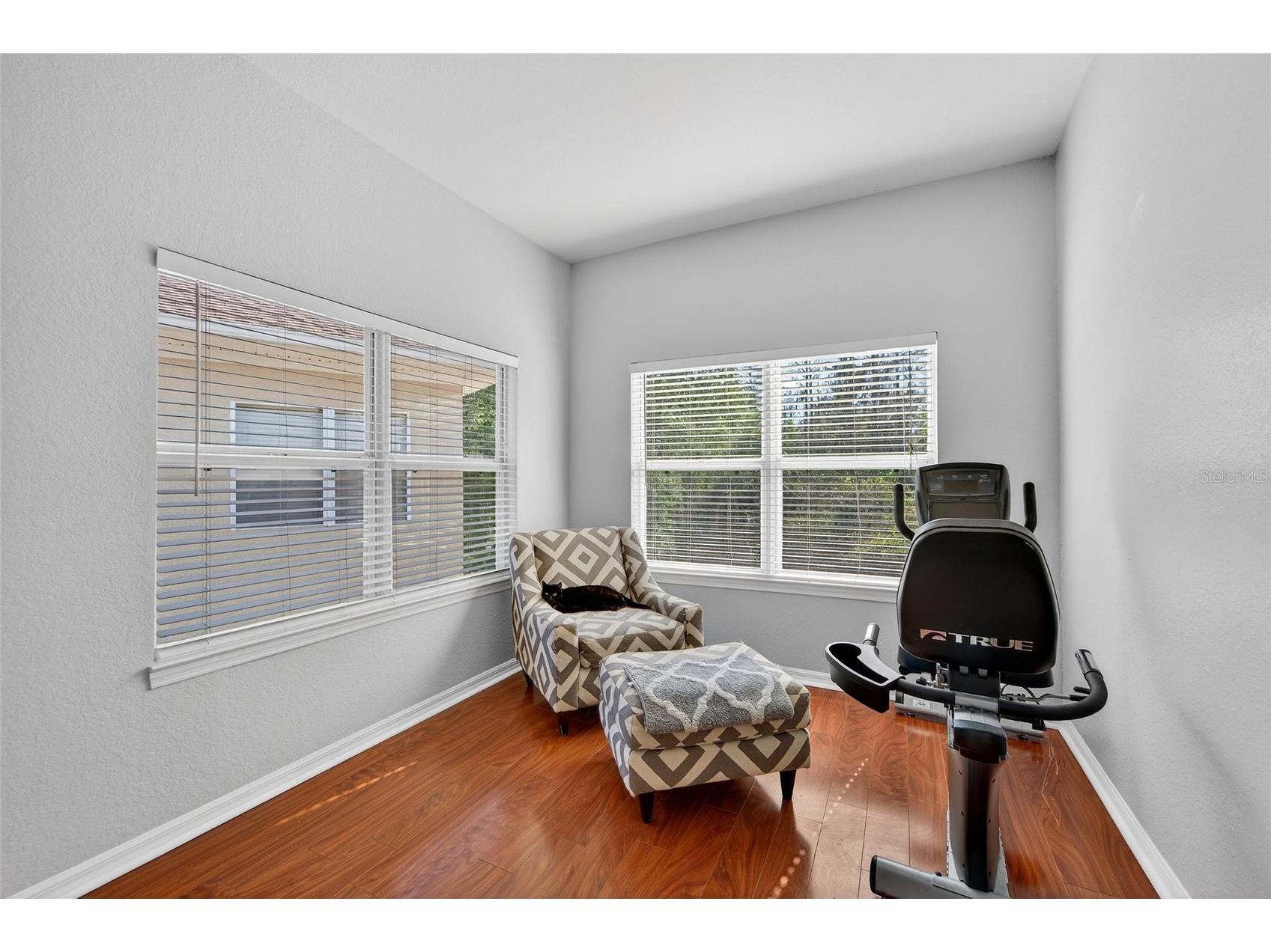 10849 Dragonwood Drive Tampa FL 33647 TB8489226 image52