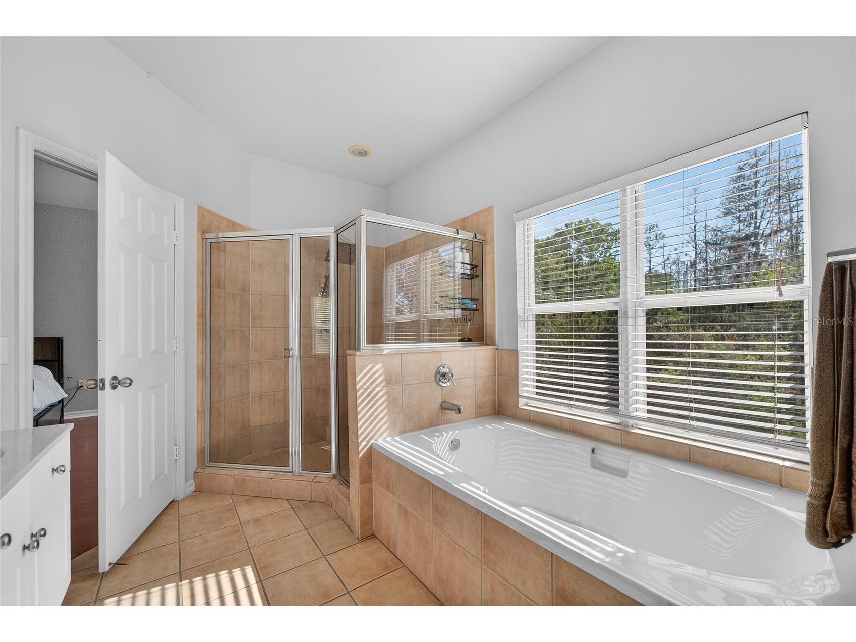 10849 Dragonwood Drive Tampa FL 33647 TB8489226 image57