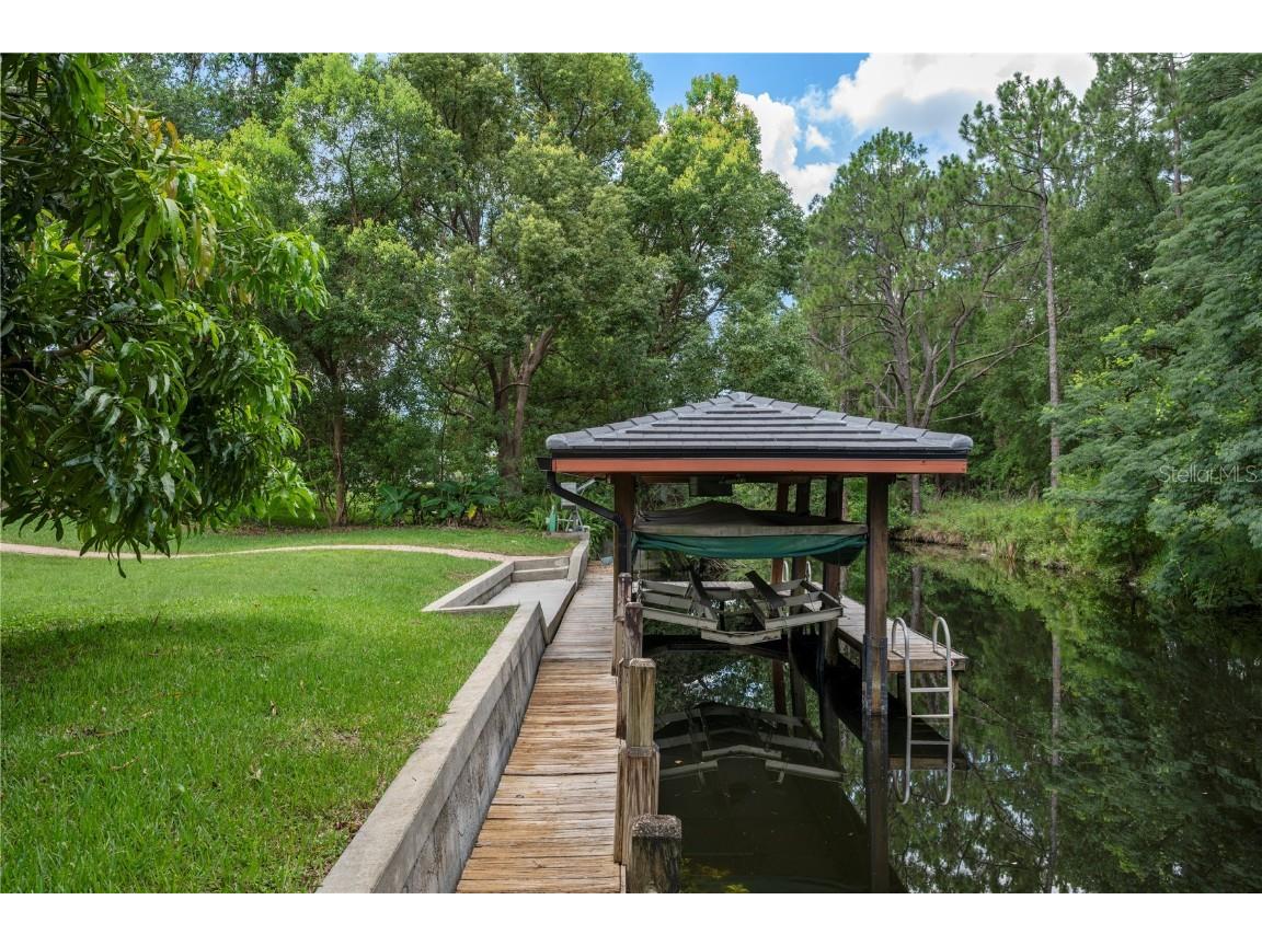 10849 Emerald Chase Drive Orlando FL 32836 - FISH LAKE CANAL O6300031 image38