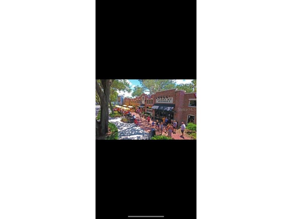 1085 Chase Drive Winter Garden FL 34787 O6338393 image41