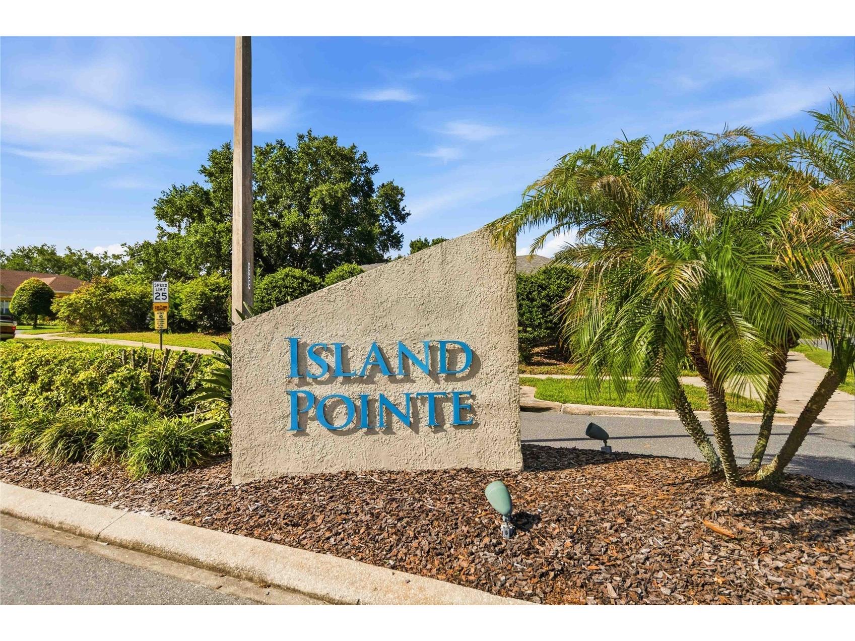 1085 Chase Drive Winter Garden FL 34787 O6417827 image39
