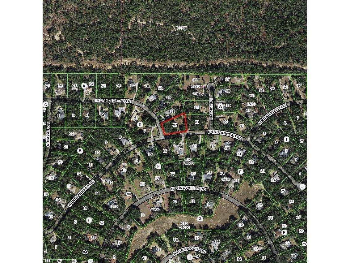 1085 E Morningstar Lane Hernando FL 34442 TB8471203 image1