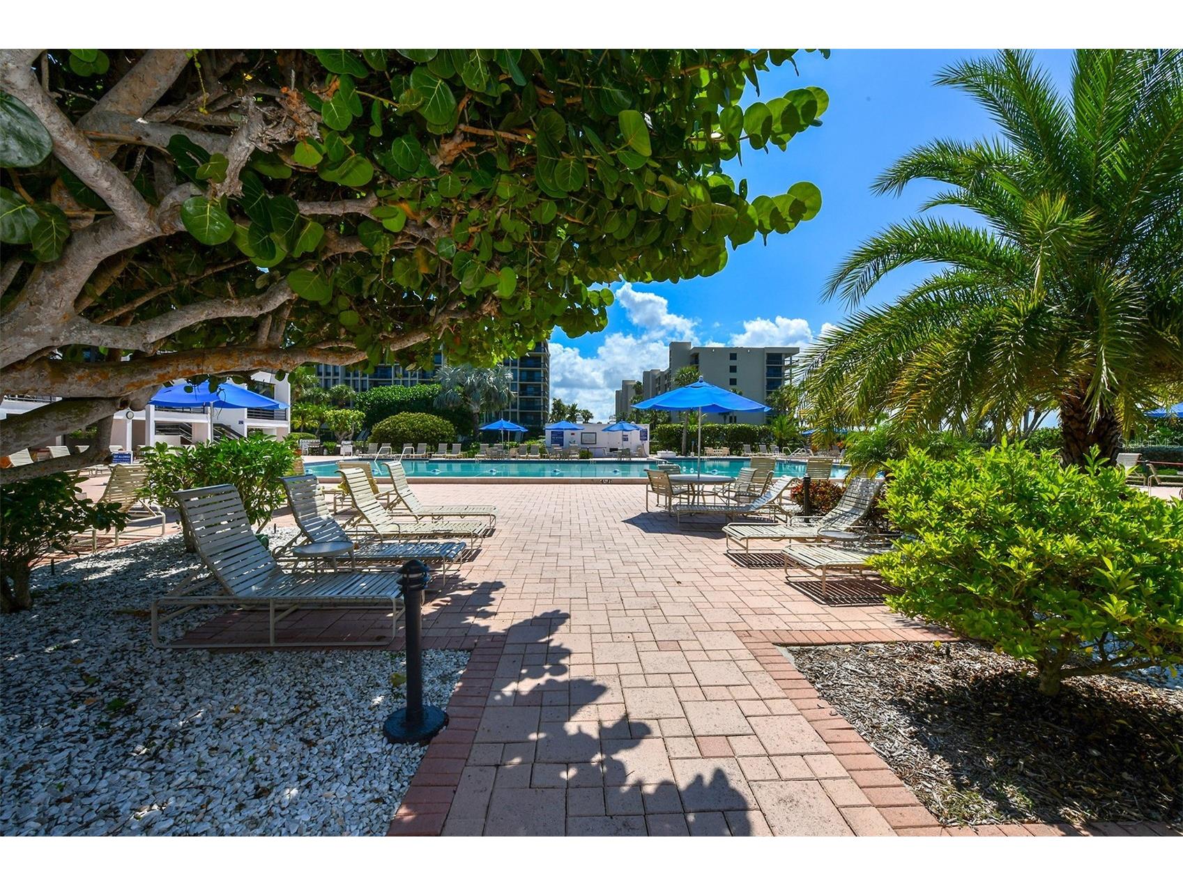 1085 Gulf Of Mexico Drive #205 Longboat Key FL 34228 - GULF OF MEXICO A4681713 image44