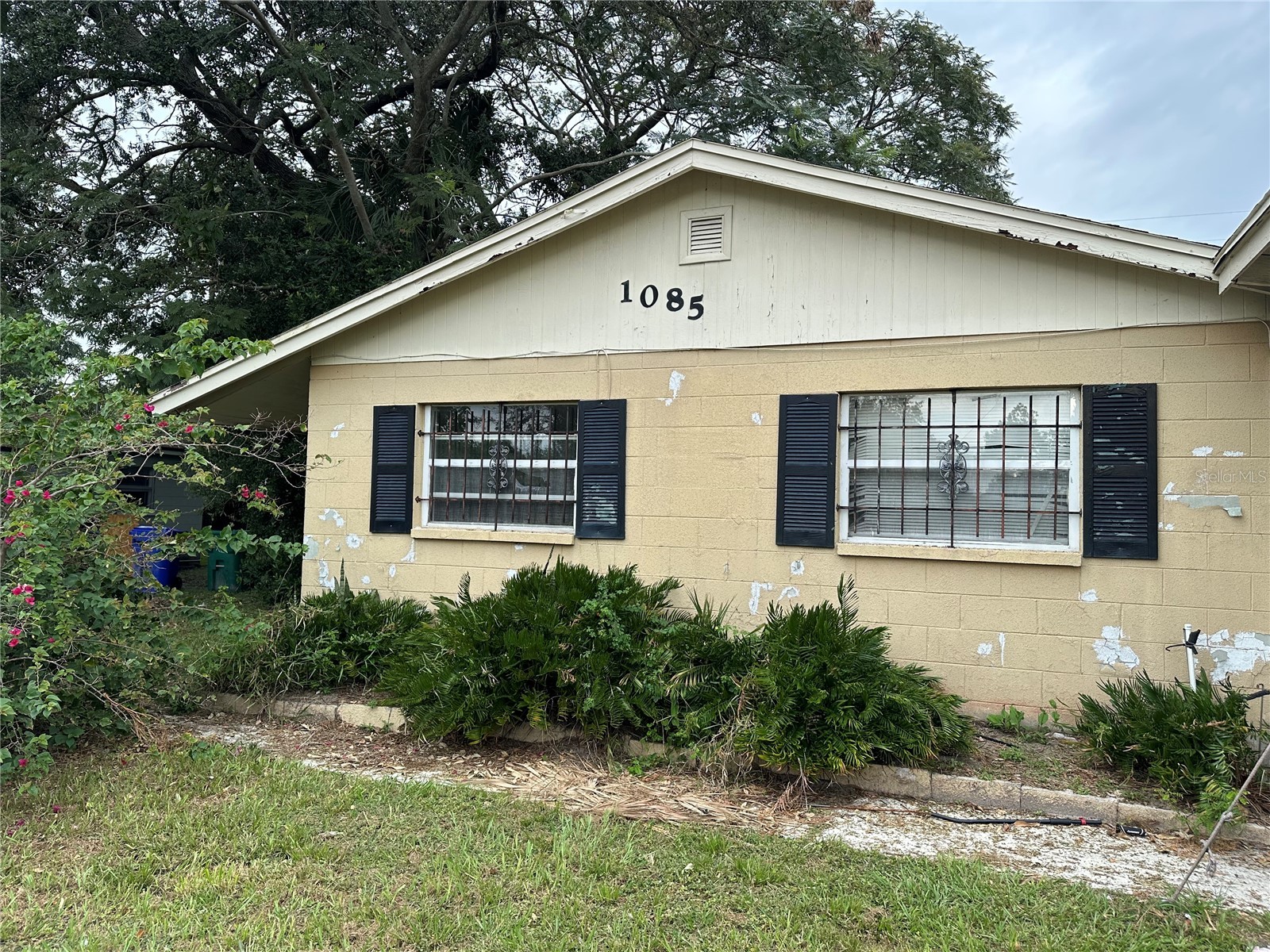 1085 Lincoln Terrace Winter Garden FL 34787 TB8311907 image1