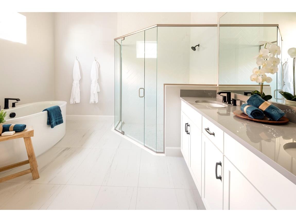 1085 Signet Apollo Beach FL 33572 O6326407 image7