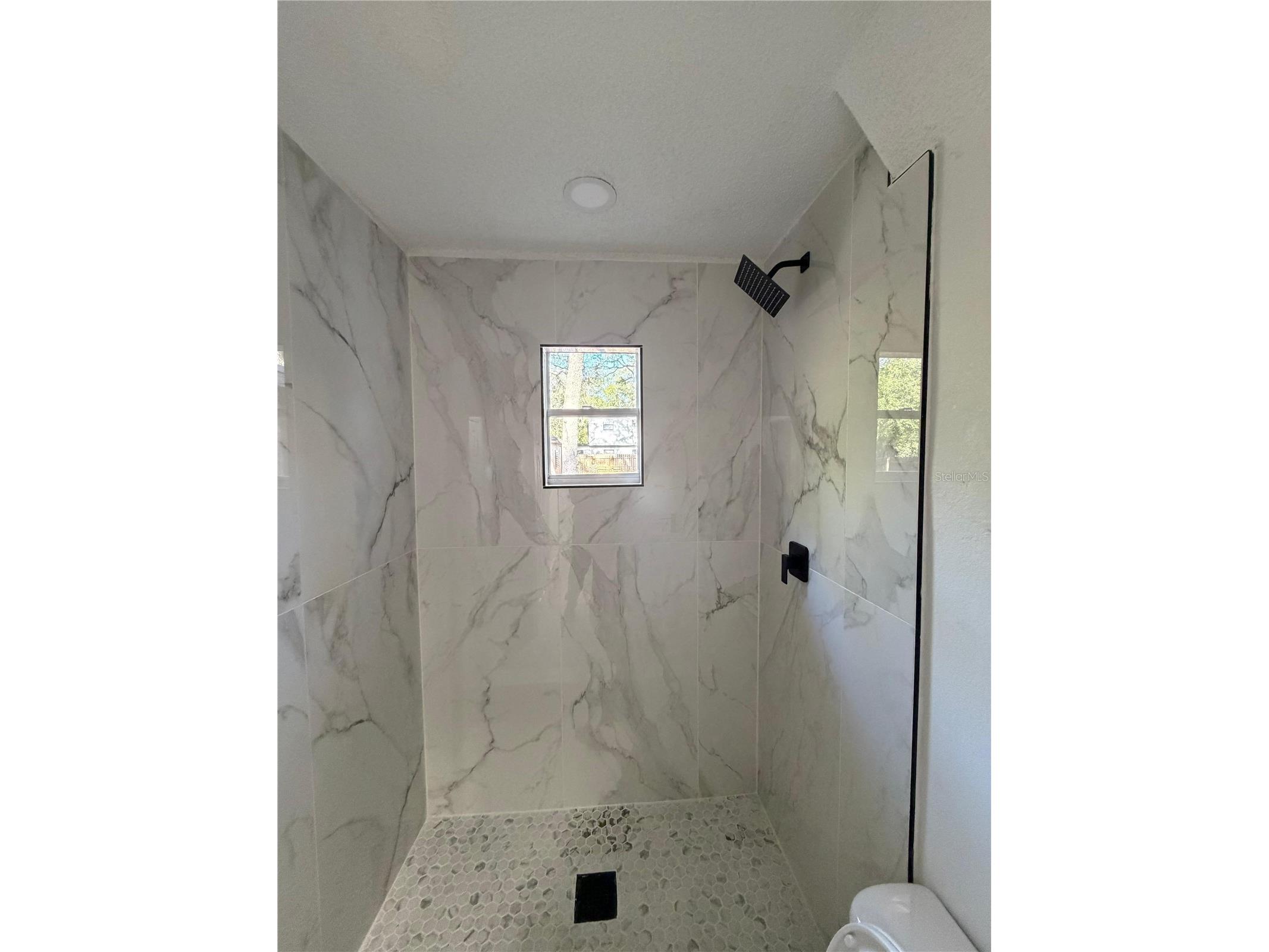 10850 Leon Street New Port Richey FL 34654 TB8508027 image12