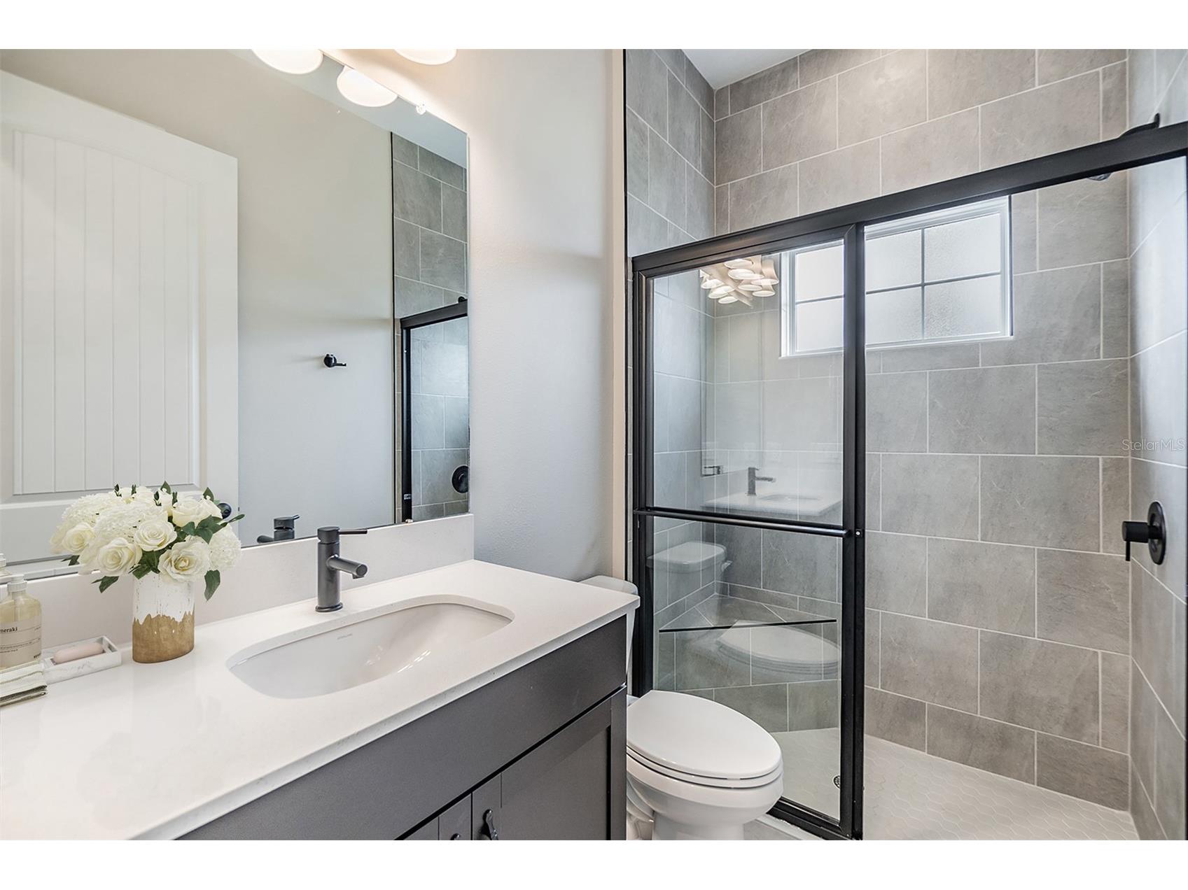 10850 Rustic Timber Loop San Antonio FL 33576 - CRYSTAL LAGOON COMMUNITY TB8516221 image12