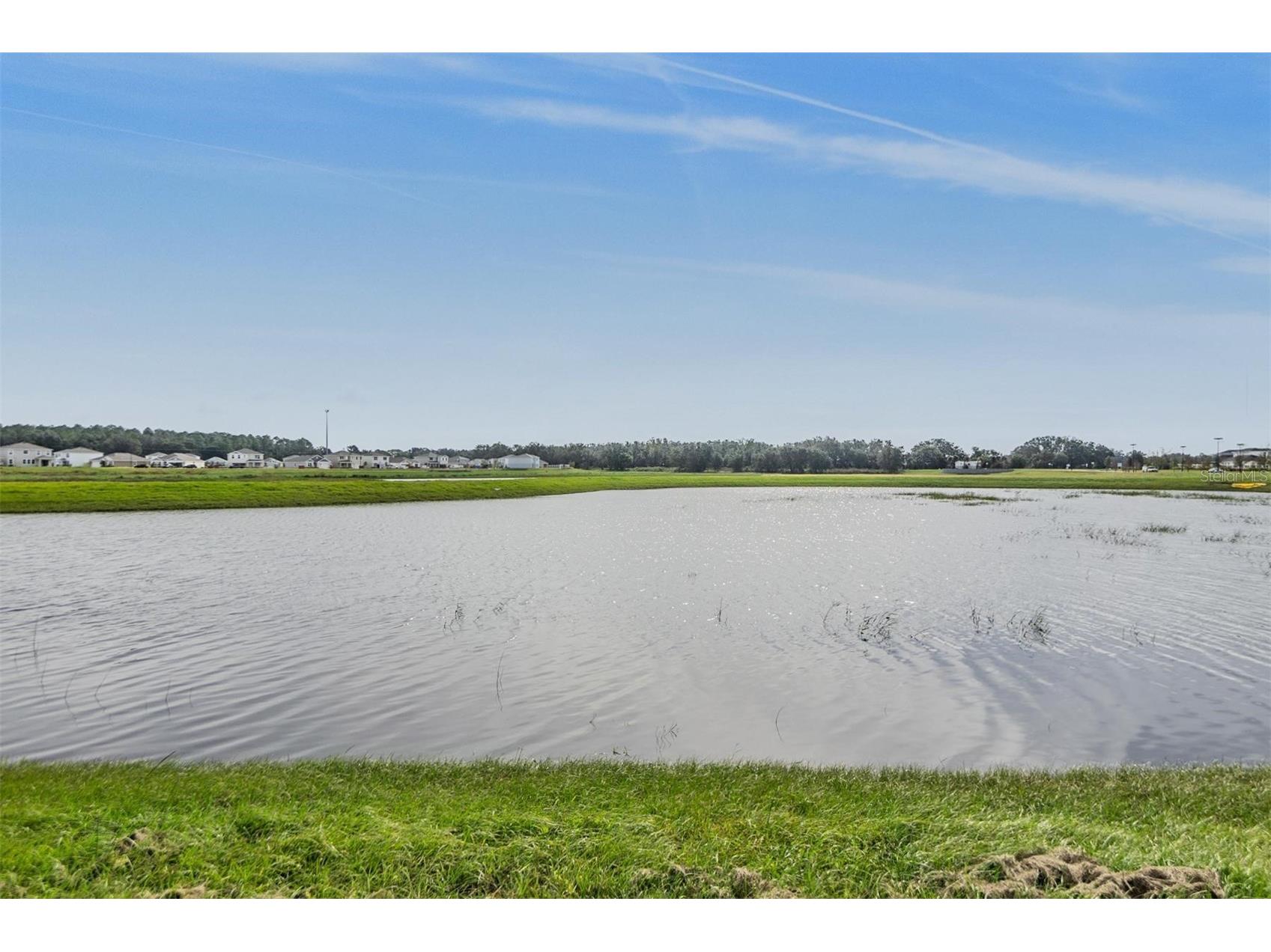 10850 Rustic Timber Loop San Antonio FL 33576 - CRYSTAL LAGOON COMMUNITY TB8516221 image33