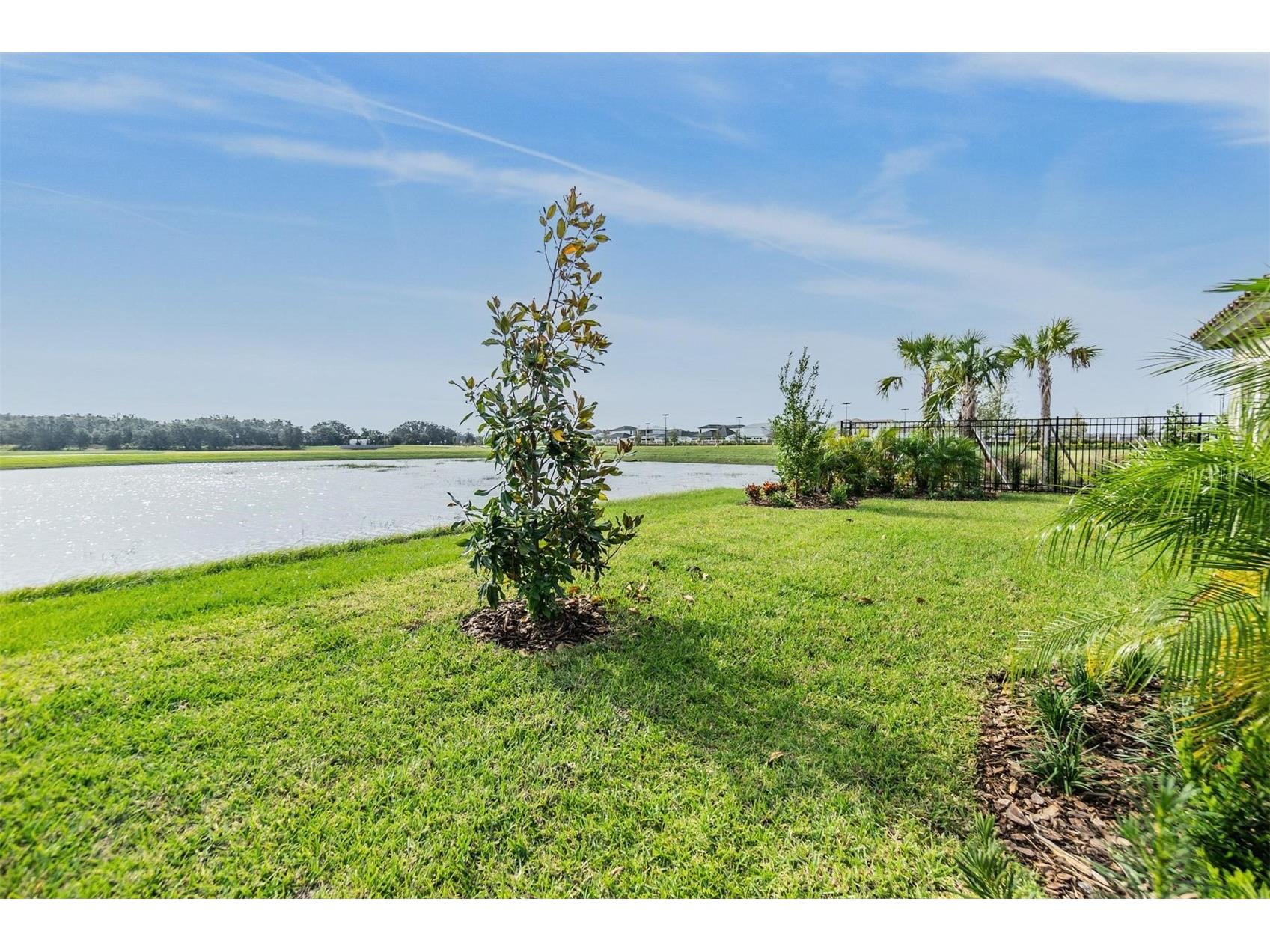 10850 Rustic Timber Loop San Antonio FL 33576 - CRYSTAL LAGOON COMMUNITY TB8516221 image34