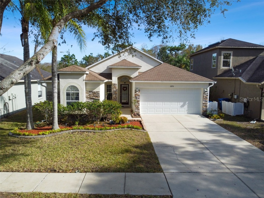 10850 Wild Cotton Court Land O Lakes FL 34638 T3425261 image1